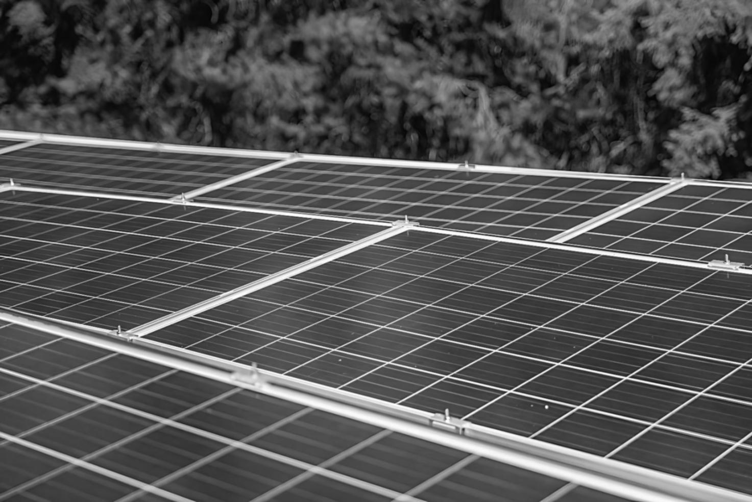 Команда Securityx обсуждает учебный проект